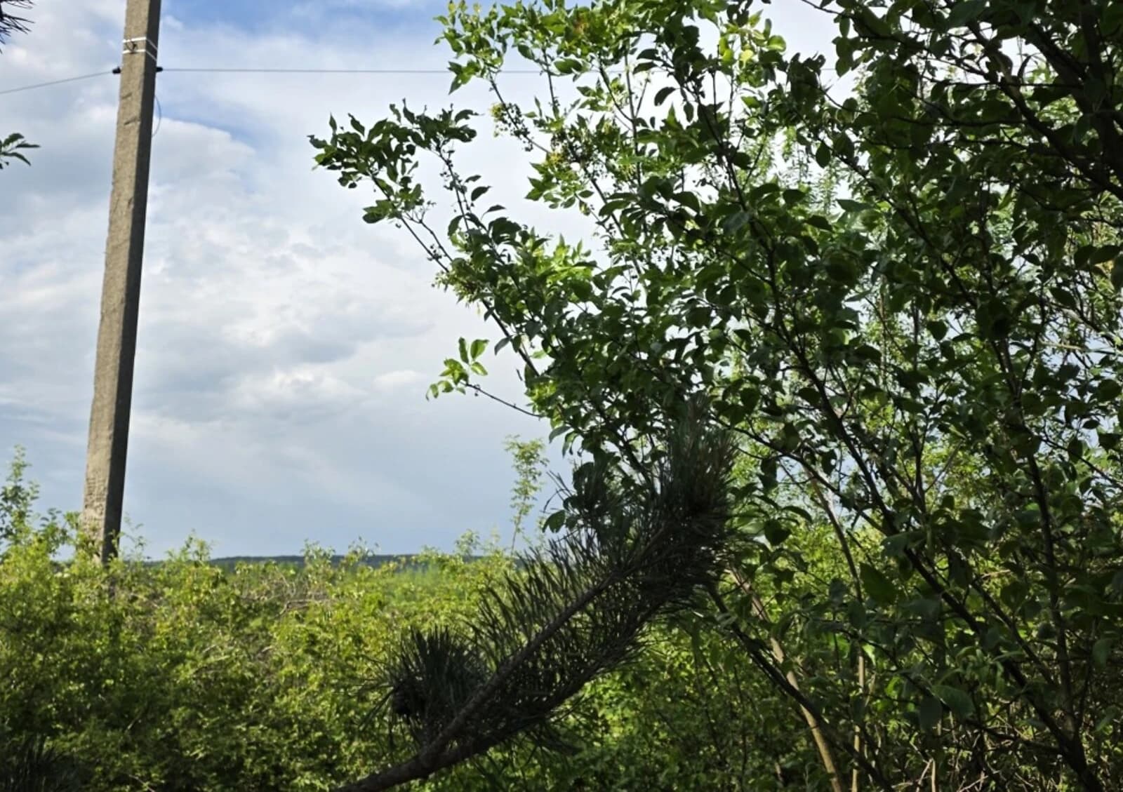 Ділянка 9 соток, Великі Лази: житлова забудова, під гараж - фото 5