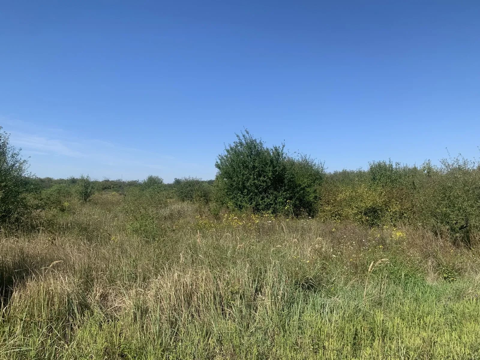 Ділянка 0.08 соток, Виноградів: житлова й суспільна забудова - фото 5