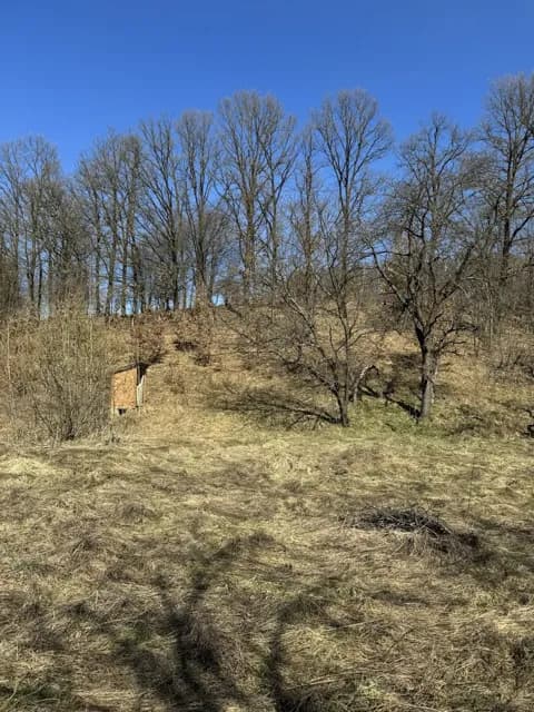 Ділянка 50 соток, Тячів: асфальтована дорога, будинок і туалет - фото 3