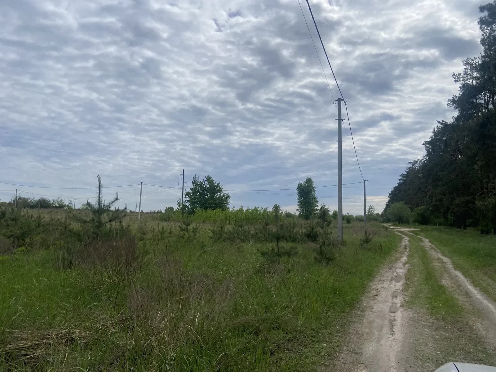 Ділянка 11,58 соток, Васильків: електрика, поруч із лісом - фото 4