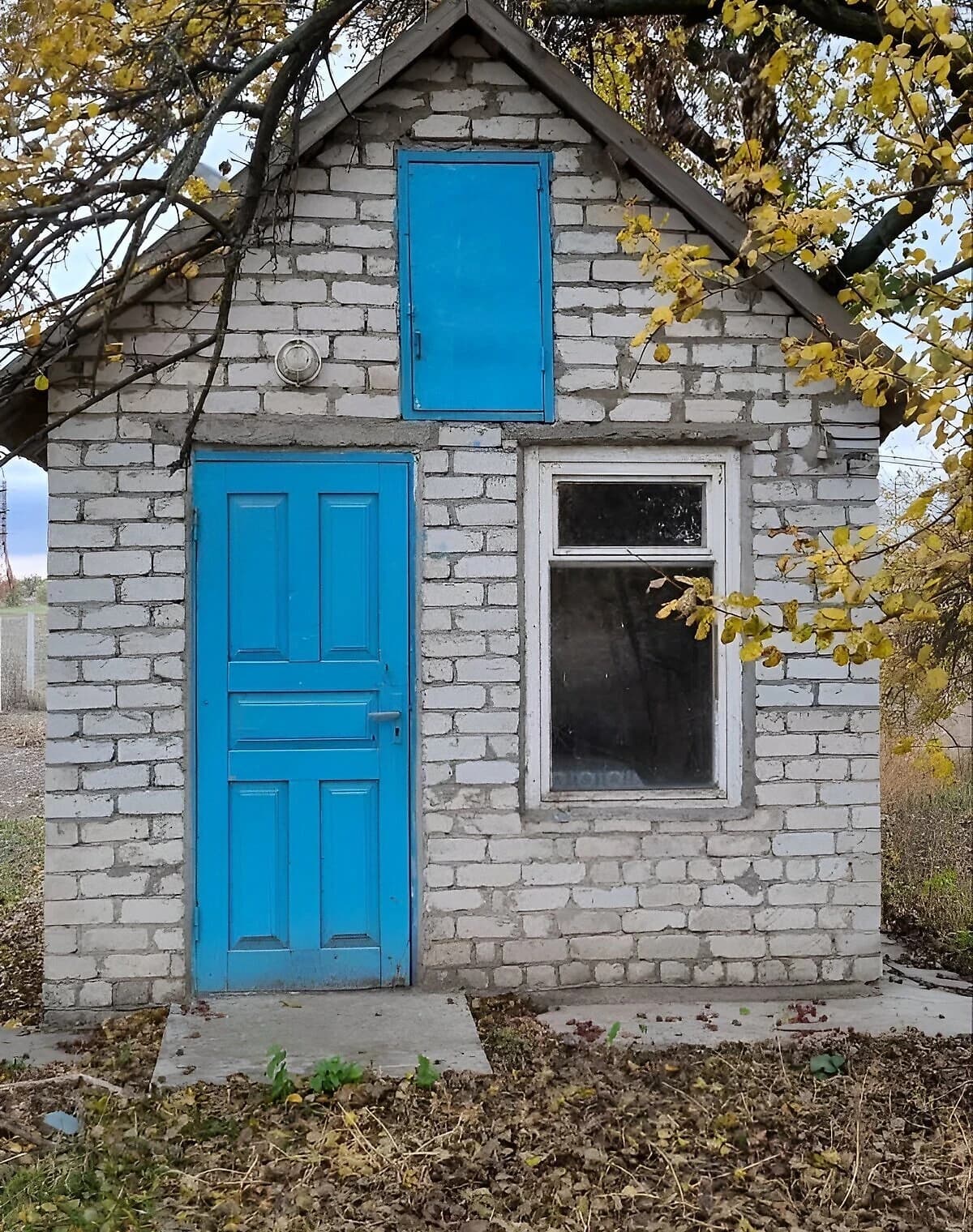 Будинок, Придніпрянське: цегляні стіни - фото 5