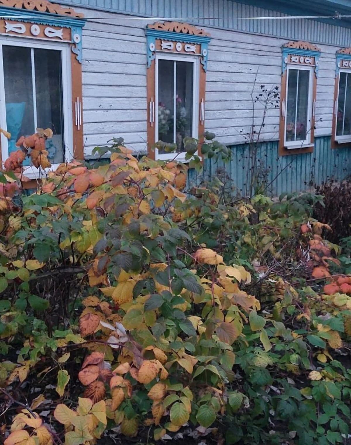 Будинок, Чорнотичі: гараж, літня кухня, сад