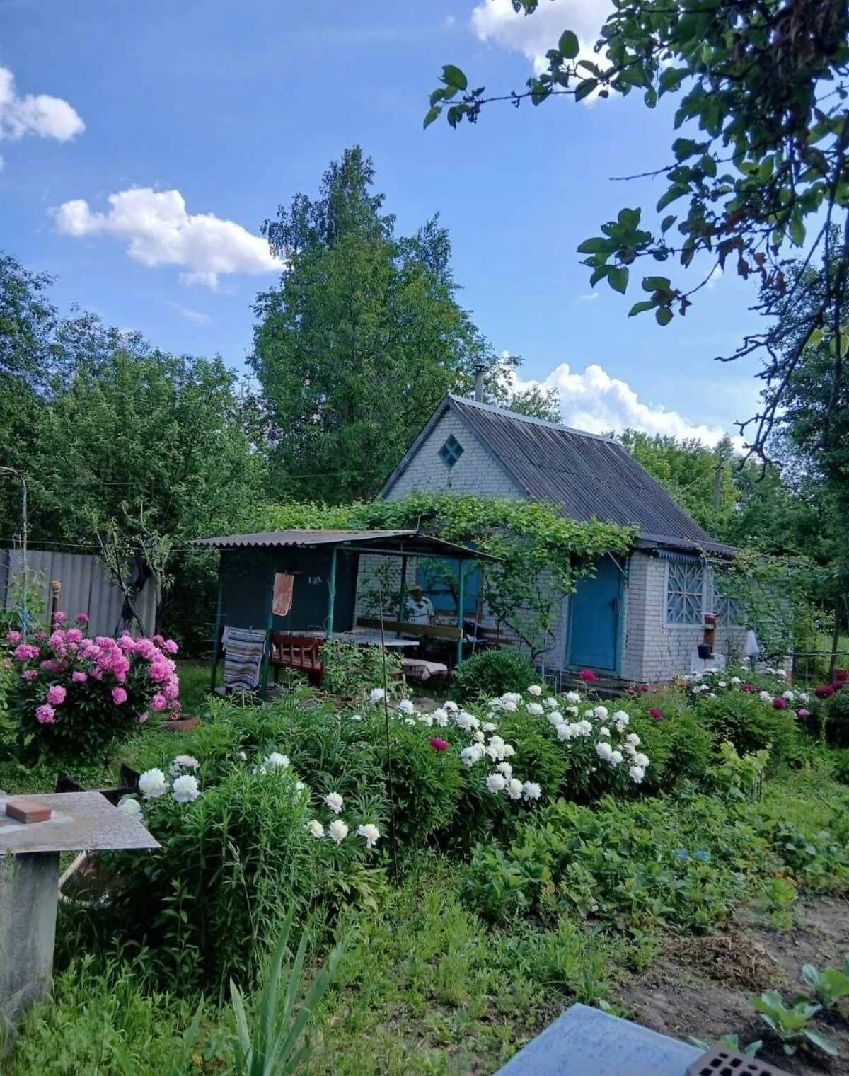 Дача, Бездрик: цегляні стіни, гараж у прибудові - фото 2