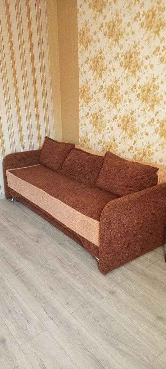 Чешка, Хаджибейський: можна з котиком, газове опалення