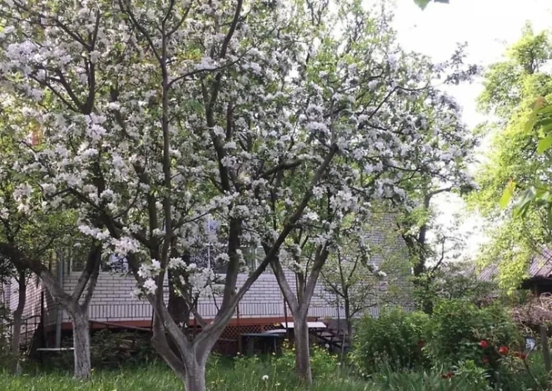 Будинок, Замостянський: сауна, джакузі, гараж - фото 5