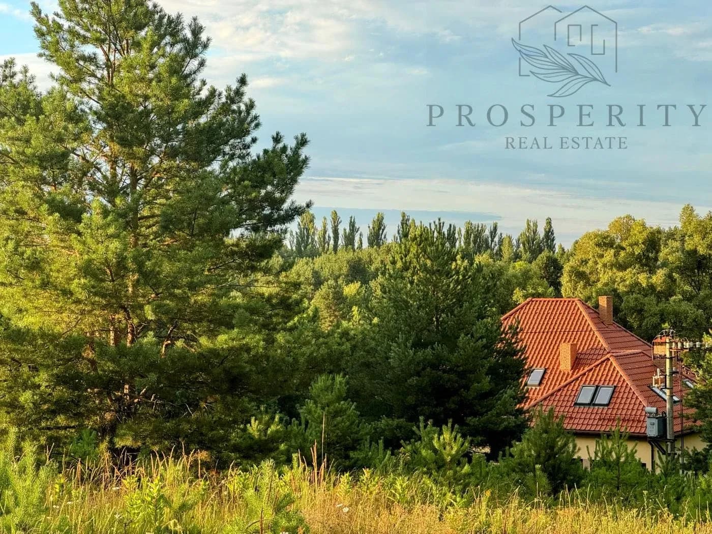 Ділянка 20 соток, Музичі: краєвид на ліс, електрика вздовж фасаду - фото 5