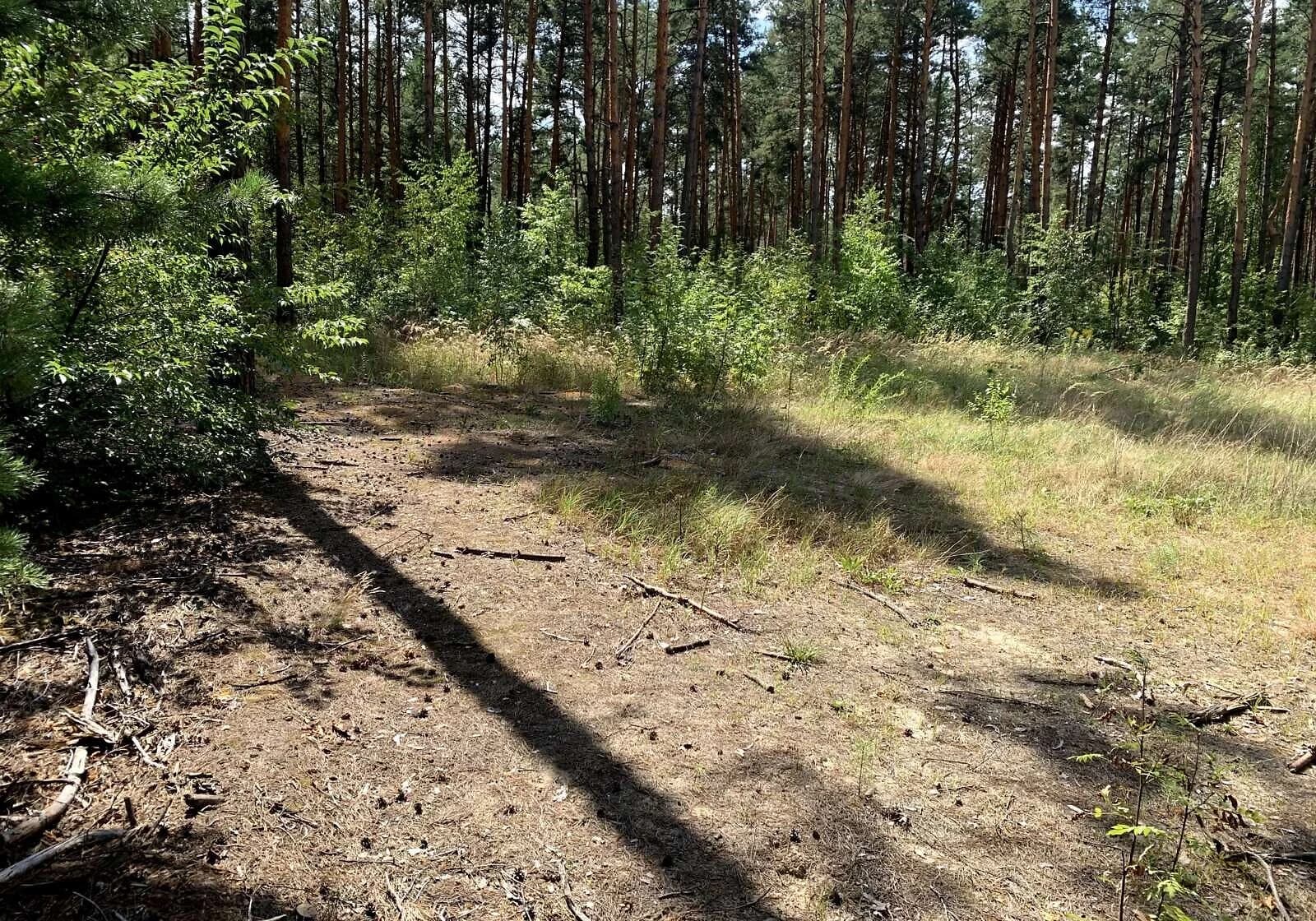 Ділянка 10 соток, Деснянський: під житлову забудову, під гараж - фото 5