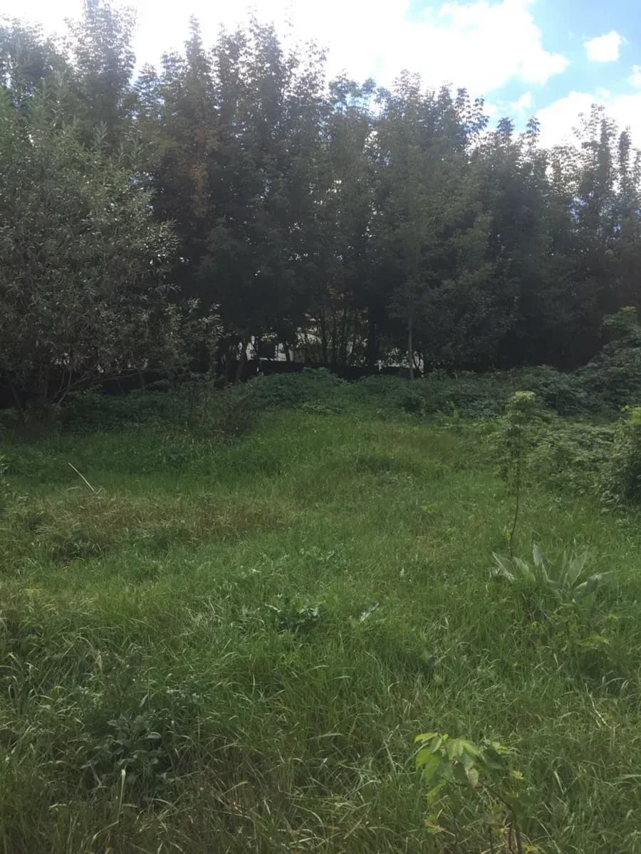 Ділянка 18 соток, Київський: метро «Київська», 5 хв до центру - фото 3