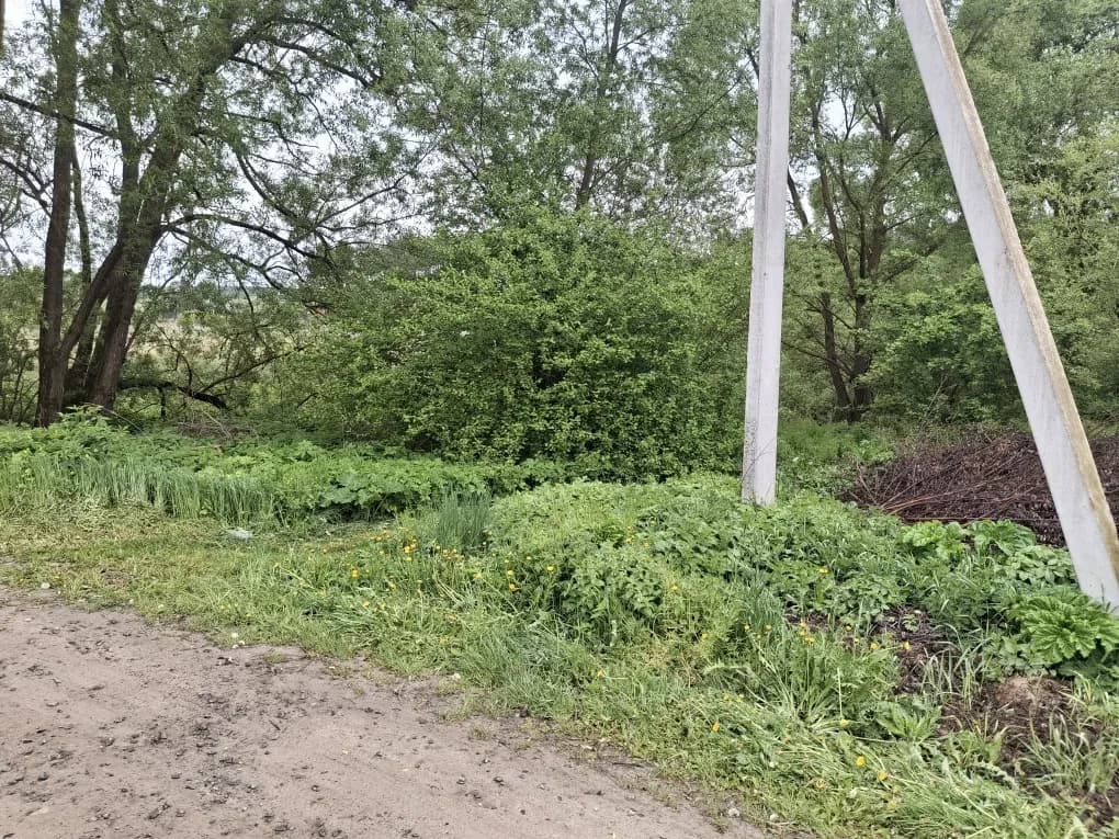 Ділянка 10 соток, Солуки: під забудову, 500 м до траси Львів-Краковець - фото 2