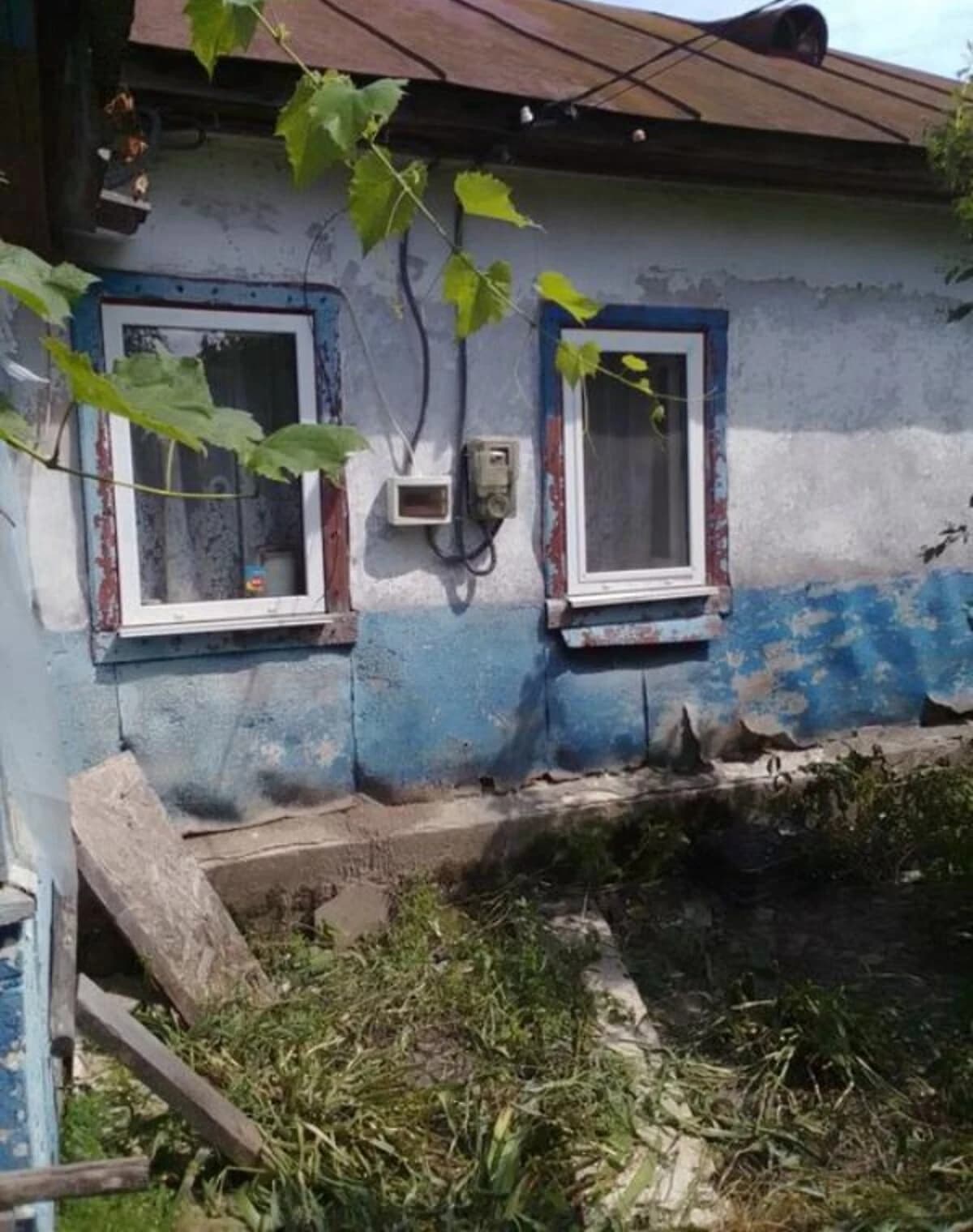 Будинок, Хрещате: ділянка 25 соток, зруб, свердловина - фото 2