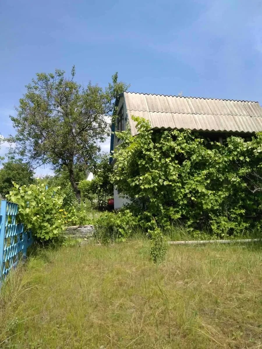 Дача, Геївка: 6 соток, сад і тераса - фото 4