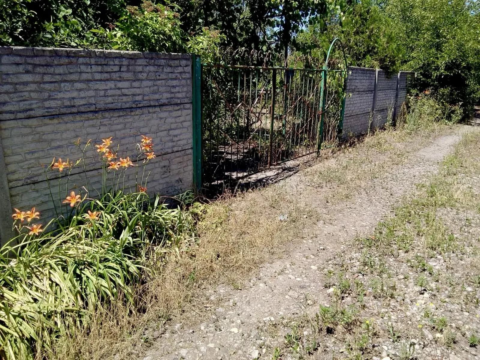 Дача, Підгородне: 25 соток, річка Самара за 10 хвилин пішки - фото 3