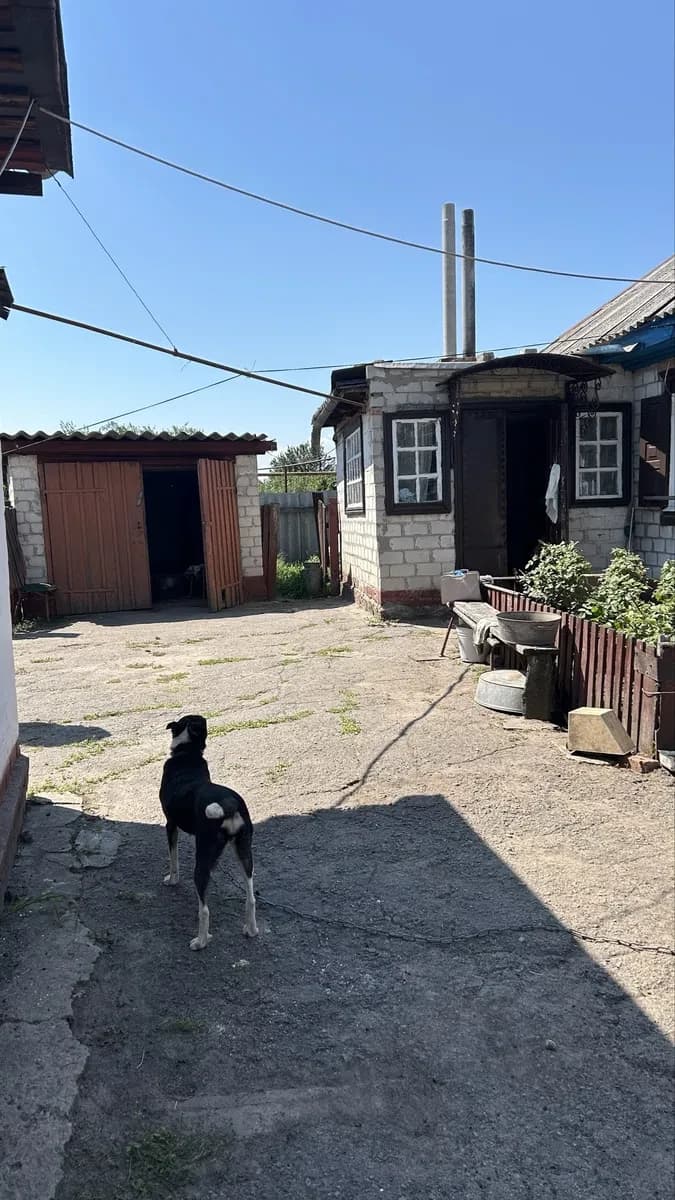 Будинок, Піщане: біля розвилки, гараж, можна побудувати 2 будинки - фото 3