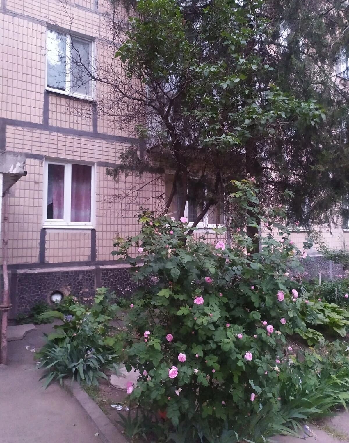 1-кімнатна квартира, Кривий Ріг: євроремонт, панельний будинок - фото 2
