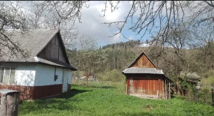 Ділянка 25 соток, Делятин: старий будинок, стайня, стодола - фото 2
