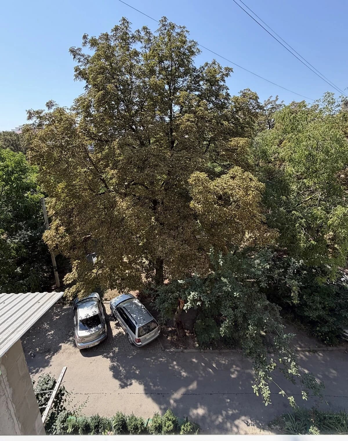 2-кімнатна квартира, Центр: косметичний ремонт, балкон - фото 4