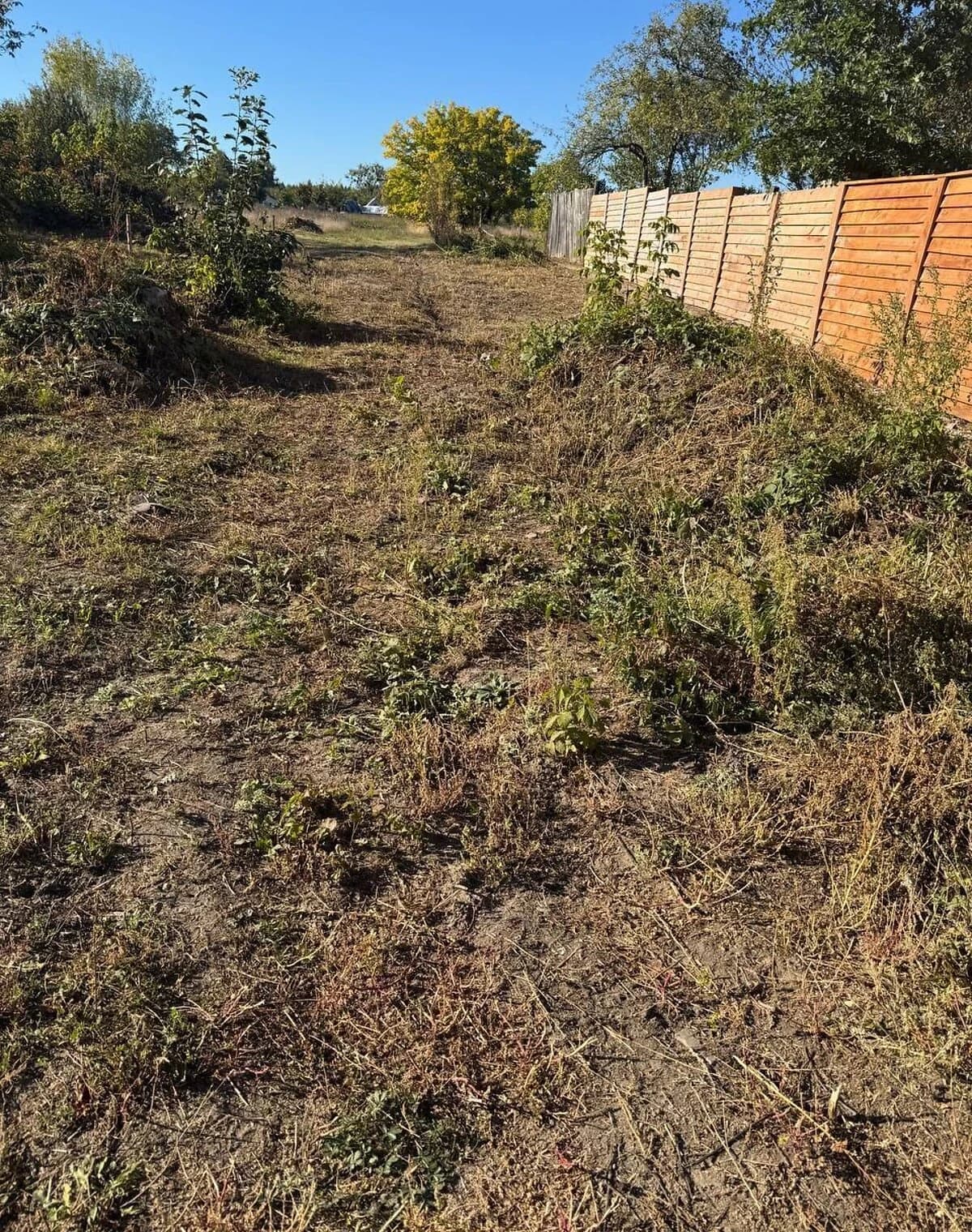Ділянка 15 соток, Морівськ: під житлову забудову, рівнинна - фото 2
