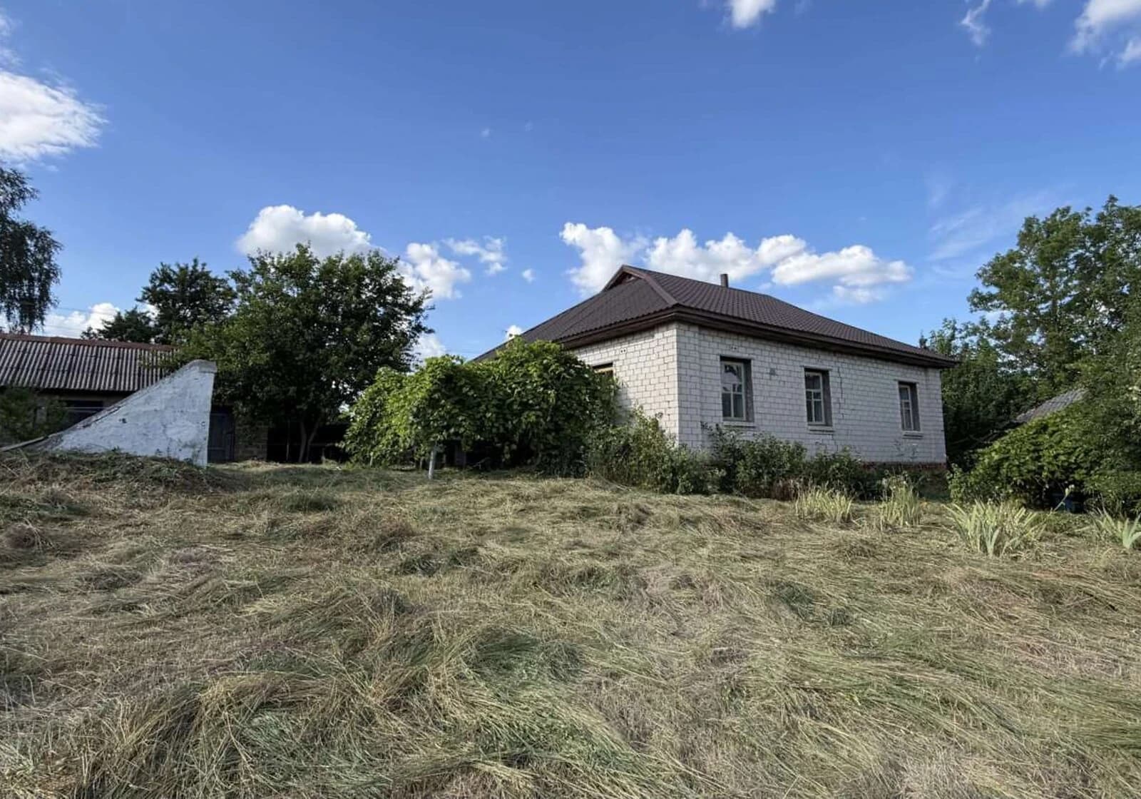 Будинок, Рудка: 52 сотки, 2 спальні, свердловина - фото 3