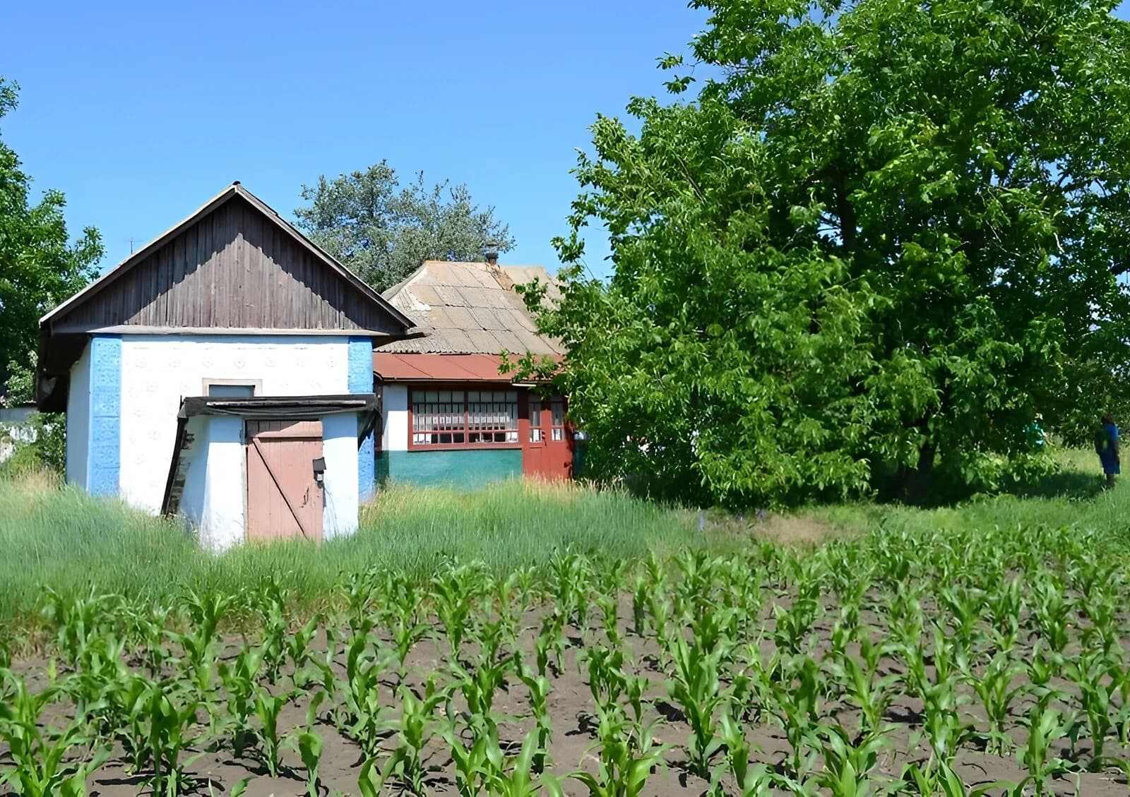 Будинок, Могильне: 30 соток, господарські будівлі, погріб - фото 3