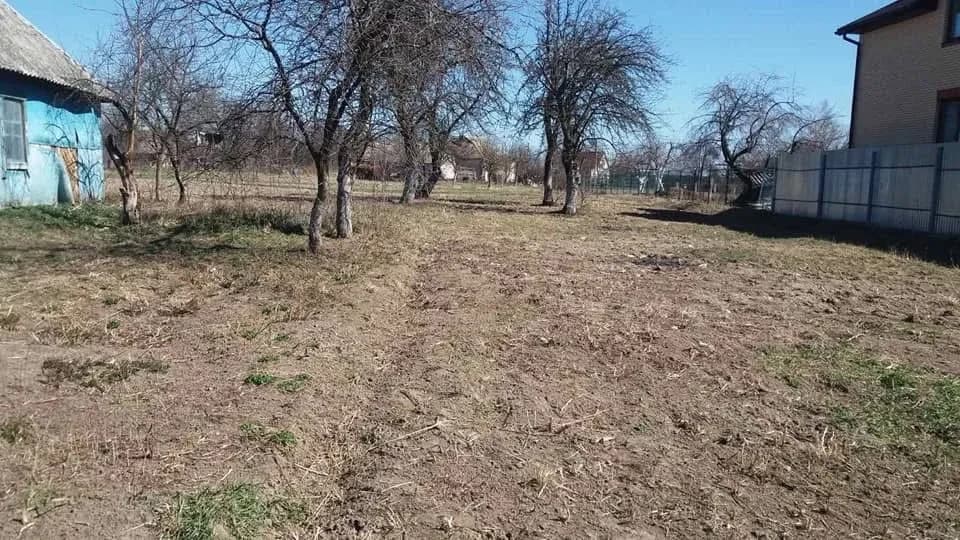 Ділянка 24 соток, Лишня: світло підключено, газ по вулиці - фото 3