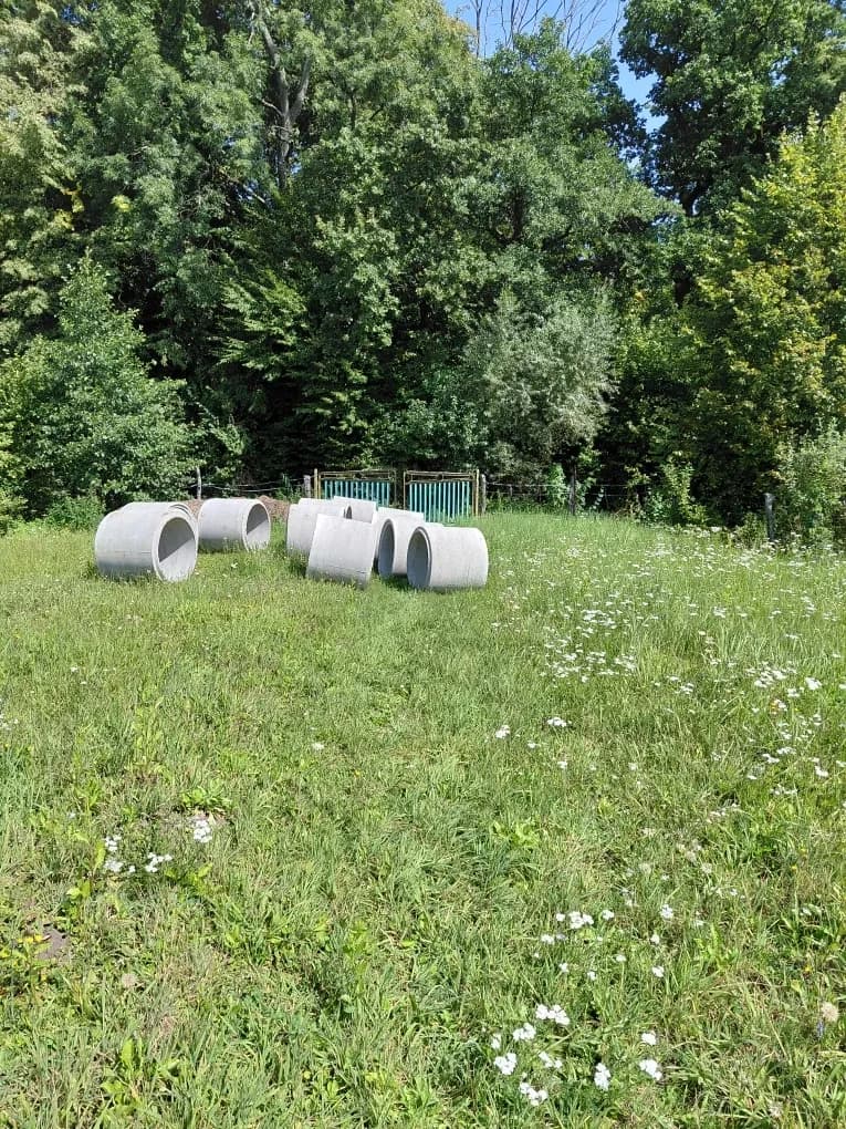 Ділянка 9 соток, Солонка: поруч ліс, в’їзд із Солонки та Біскотті - фото 4