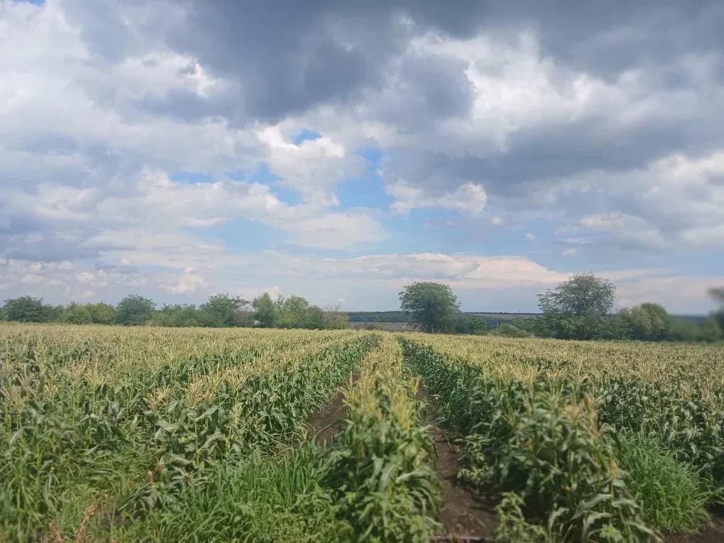 Ділянка 70 соток, Микільське: технічне водозабезпечення, під забудову - фото 3