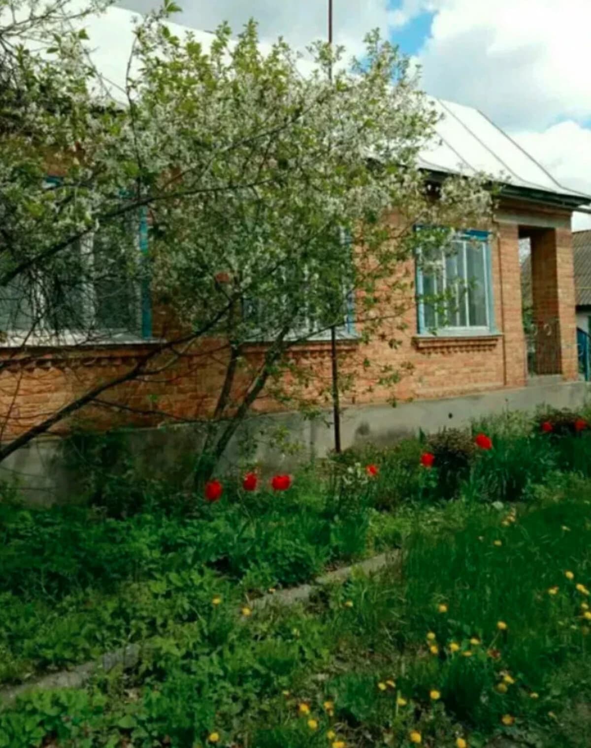 Будинок, Деренковець: гараж, 25 соток, літня кухня - фото 2
