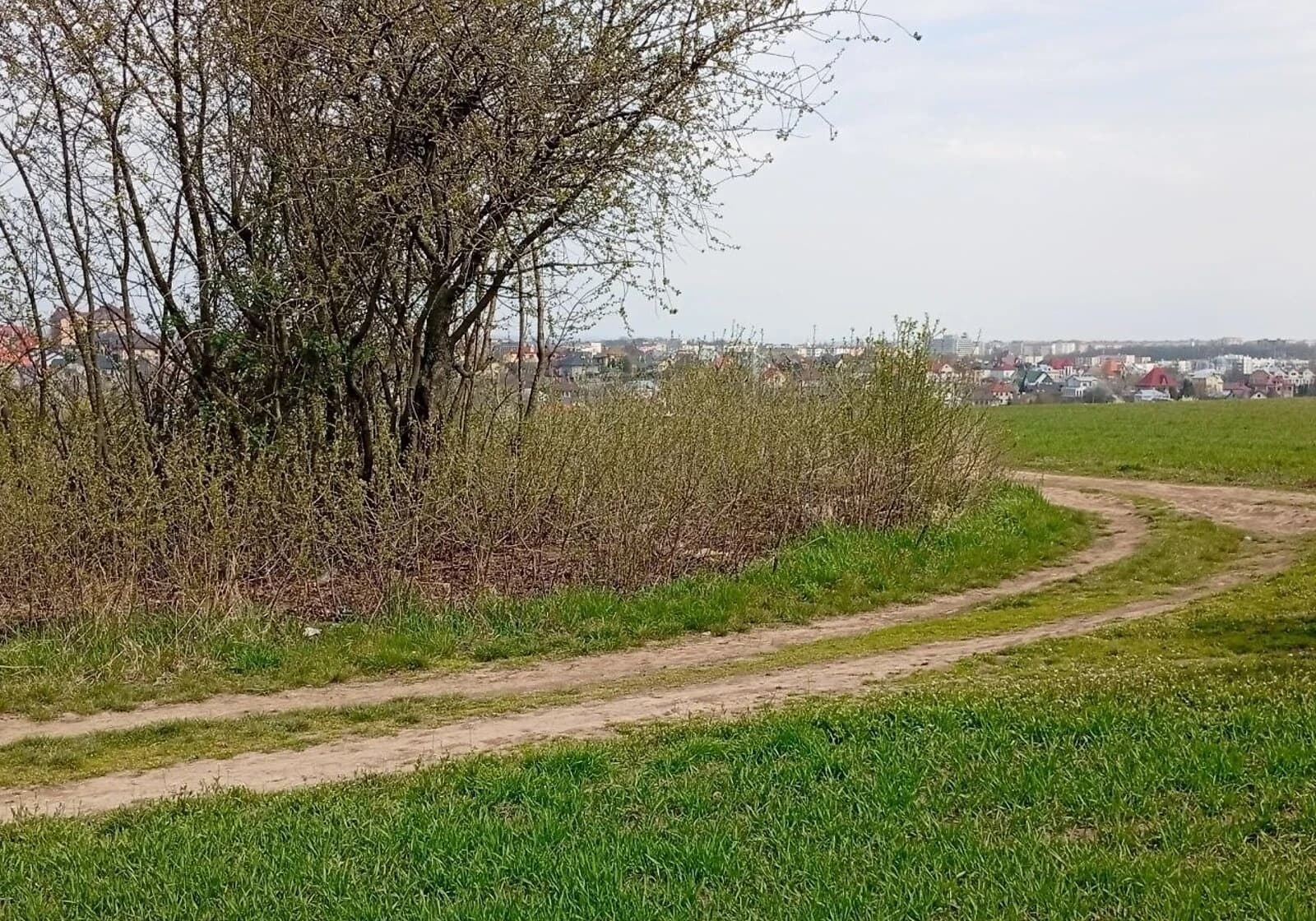 Ділянка 19.37 соток, Великий Кучурів: чорнозем, електрика - фото 3