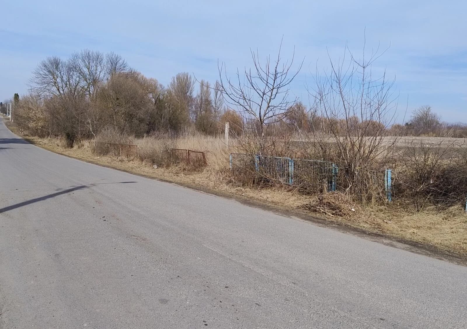 Ділянка 38 соток, Новоставці: під житлову забудову, сад і фундамент - фото 4