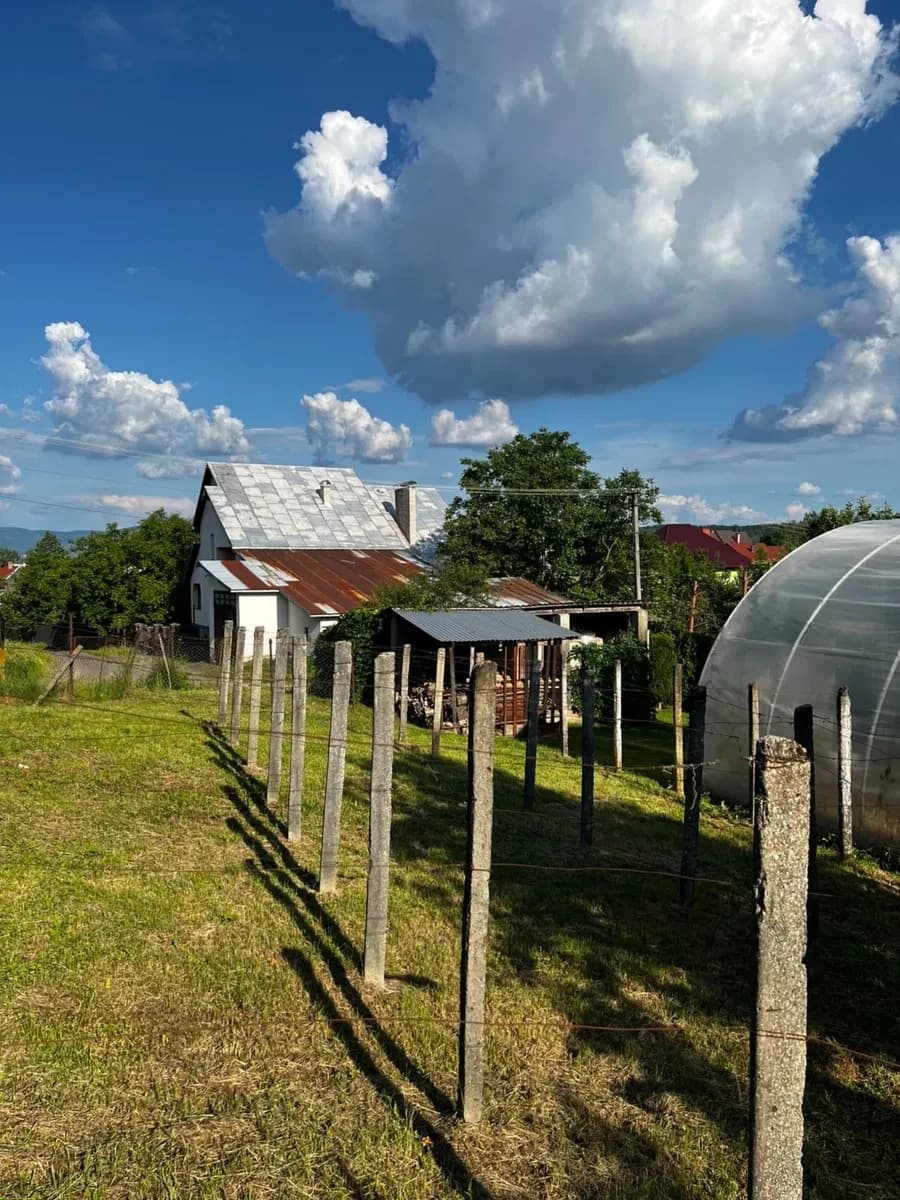 Ділянка 12 соток, Іршава: ліс і озеро, 15 хв до центру - фото 4