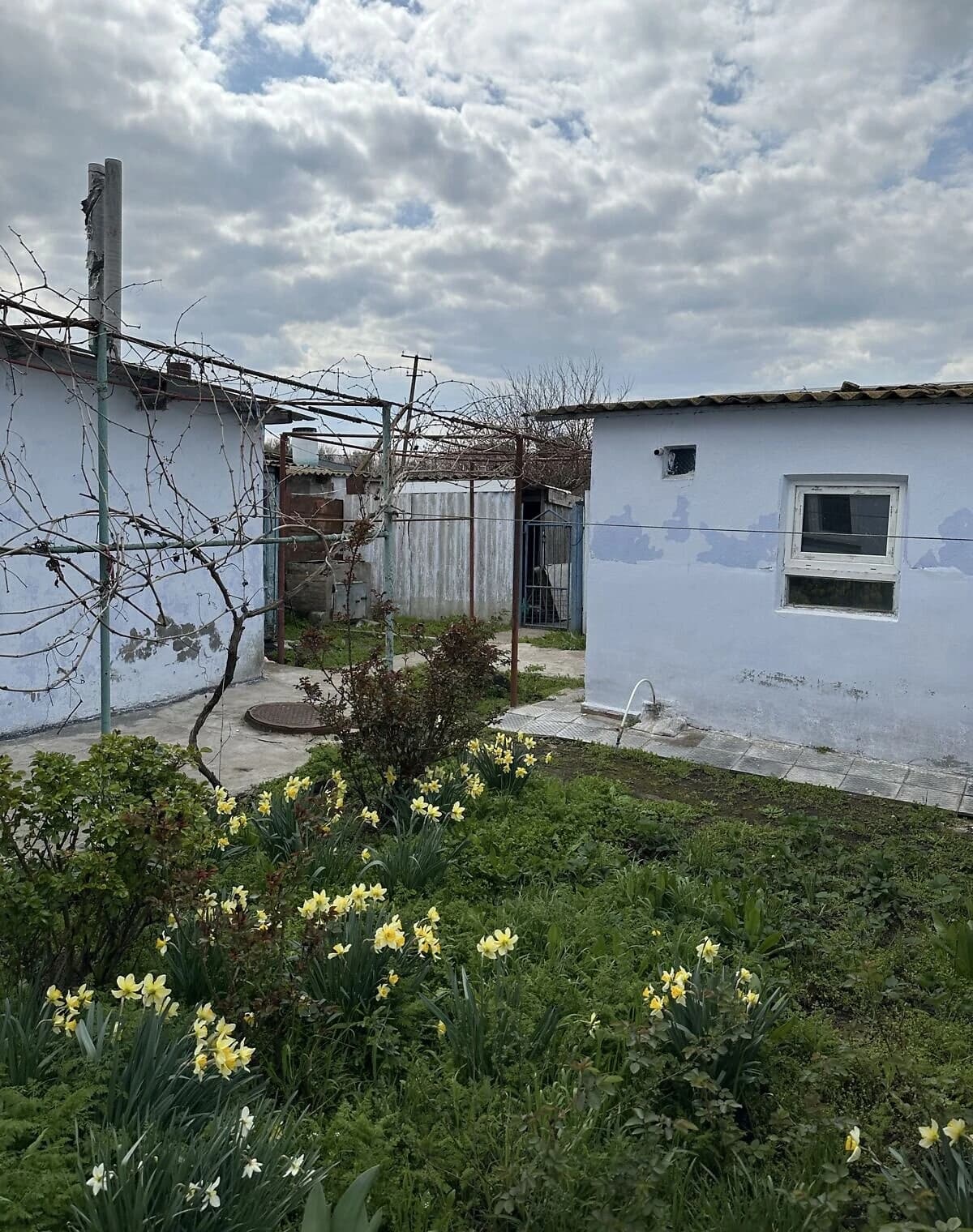 3-кімнатна квартира, Благодарівка: багаторівнева, газове опалення - фото 3