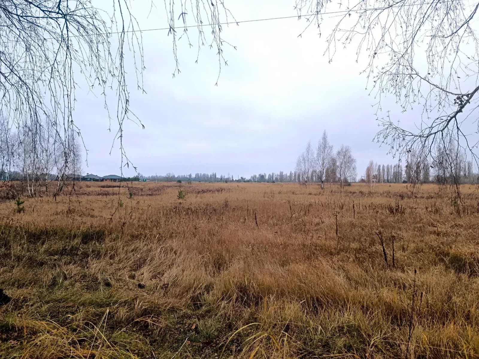 Ділянка 424 соток, Петропавлівське: до 15 га, електрика і газ - фото 2