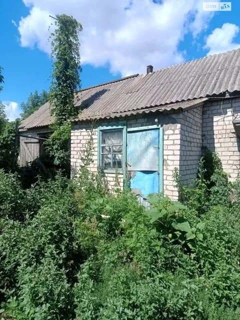 Будинок, Петрозагір’я: цегляні стіни, централізоване опалення - фото 3