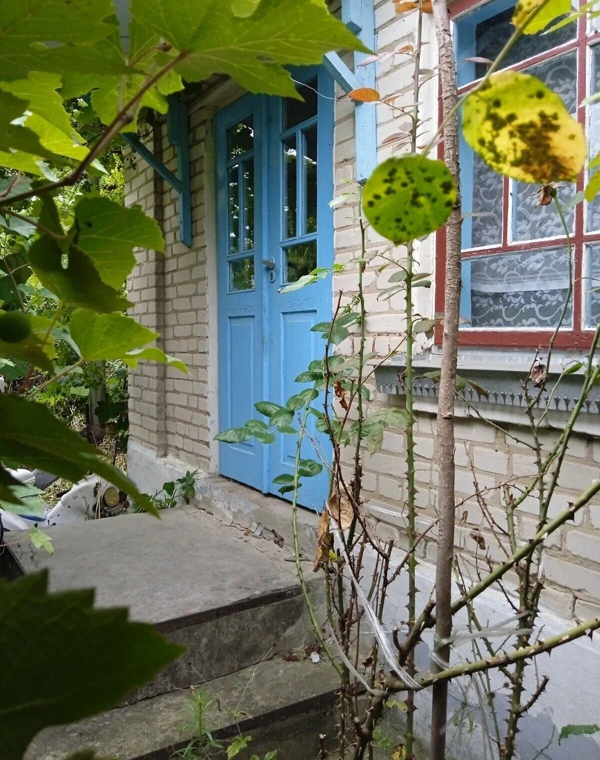 Будинок, Сенкевичівка: сад, літня кухня, господарські будівлі - фото 4