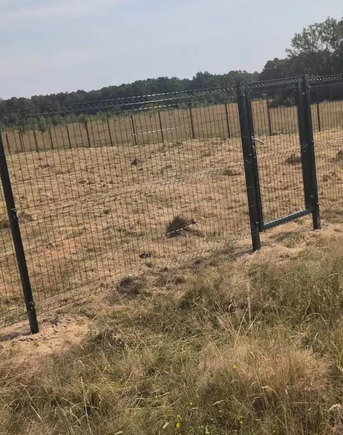 Ділянка 10 соток, Баня-Лисовецька: під житлову забудову, під гараж - фото 5