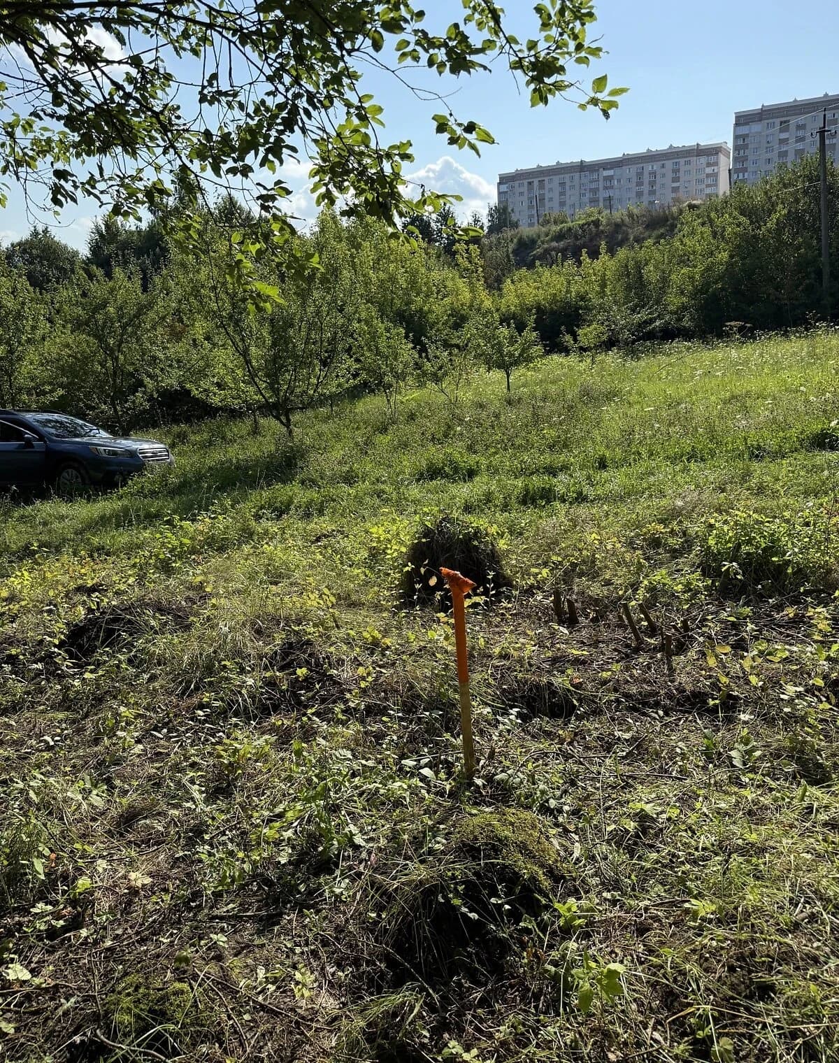 Ділянка 5.16 соток, Дачний масив Сонячний: чорнозем, електрика - фото 3