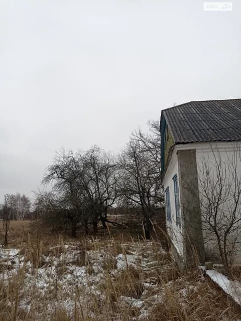 Ділянка 0.5582 га, Сингаї: торг можливий - фото 3