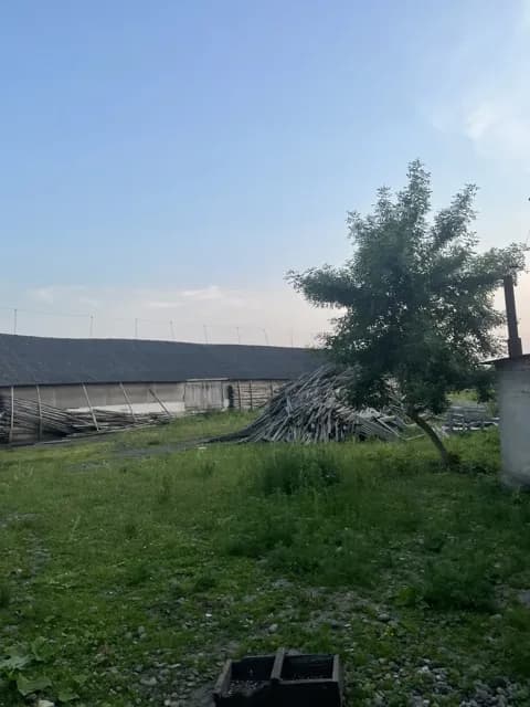 Господарський двір, Чорнолізці: будівлі, електрика - фото 5