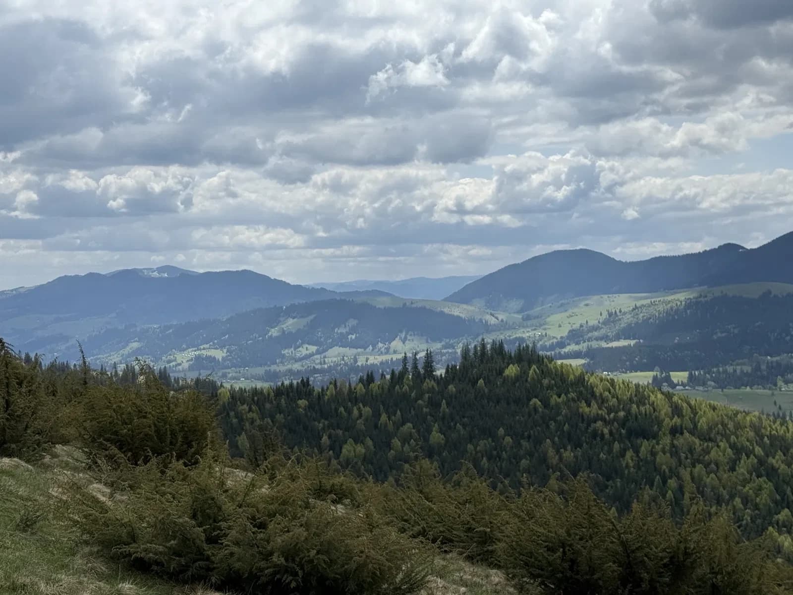 Ділянка 60 соток, Кривопілля: вид на Говерлу, поруч ліс - фото 4
