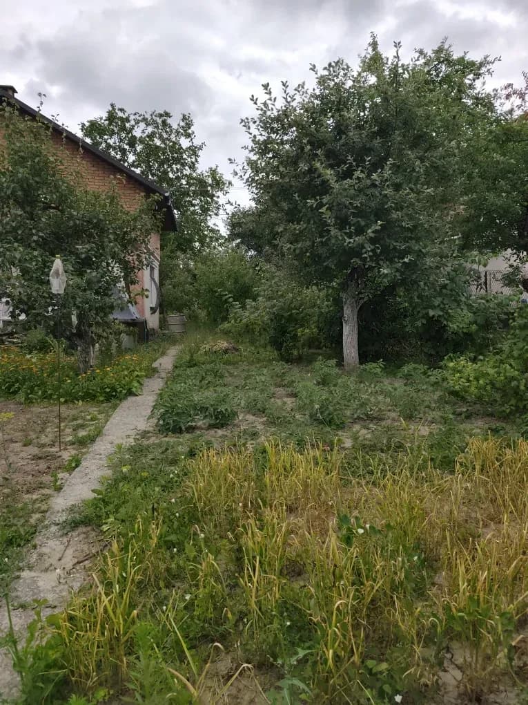 Дача, Вінниця: добудована мансарда, новий дах, додаткова ділянка - фото 3