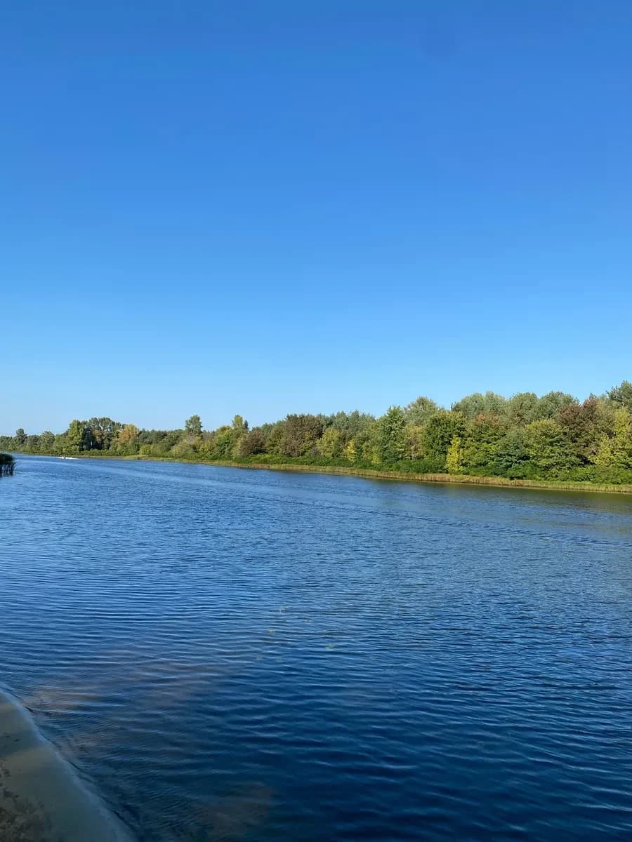 Ділянка 12 соток, Родичі: під забудову, вид на захід - фото 2