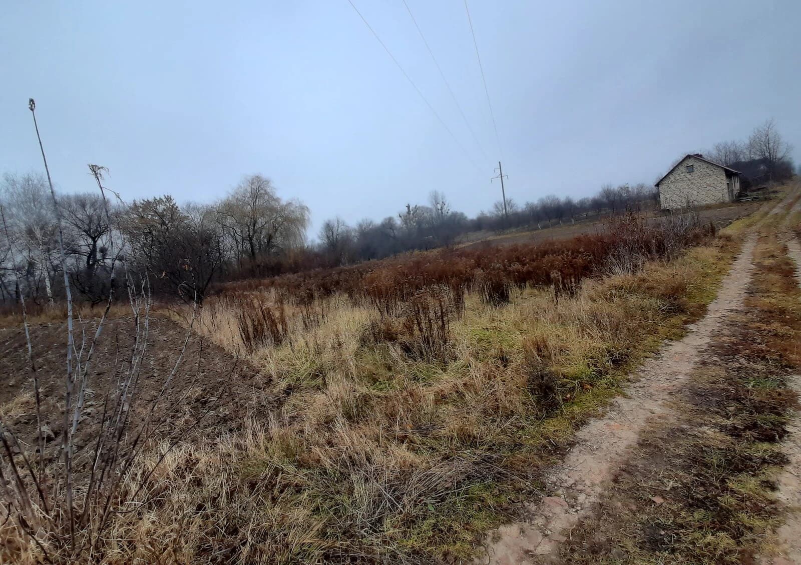 Ділянка 11.73 сотки, Городок: чорнозем, дачний кооператив - фото 4