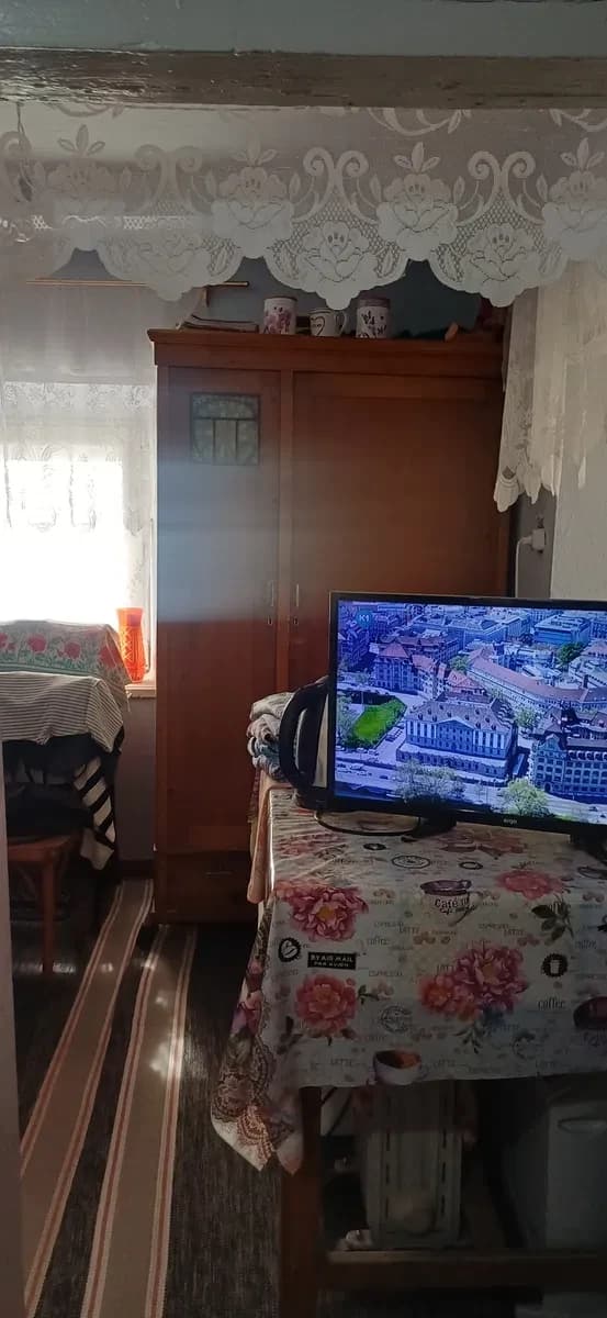 Будинок, Кінецьпіль: 6 соток городу, свердловина - фото 4