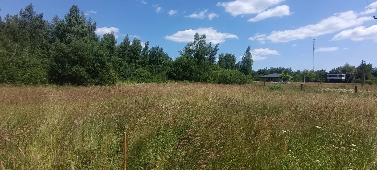 Ділянка 12 соток, Бабинці: під забудову, березовий сад - фото 4