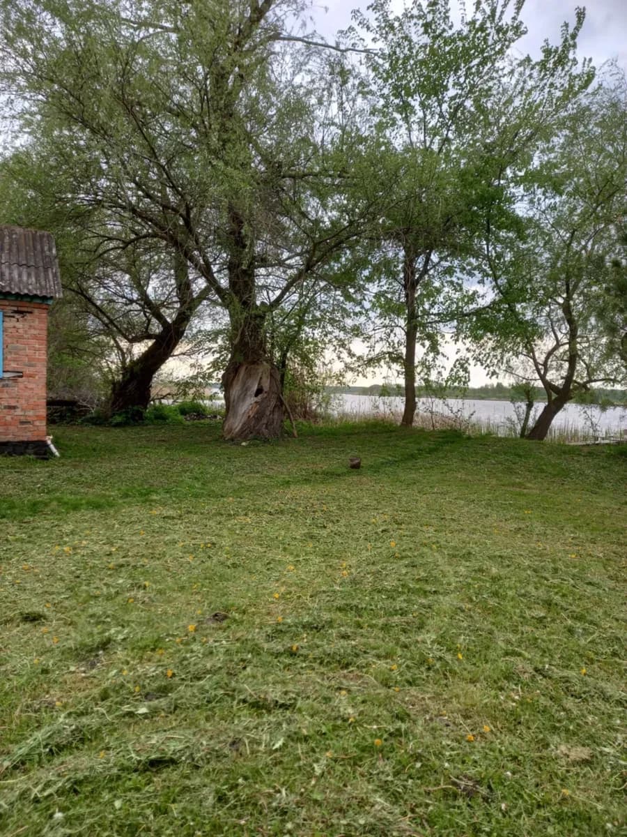 Будинок, Микулинці: берег річки, без сусідів, літня кухня - фото 4