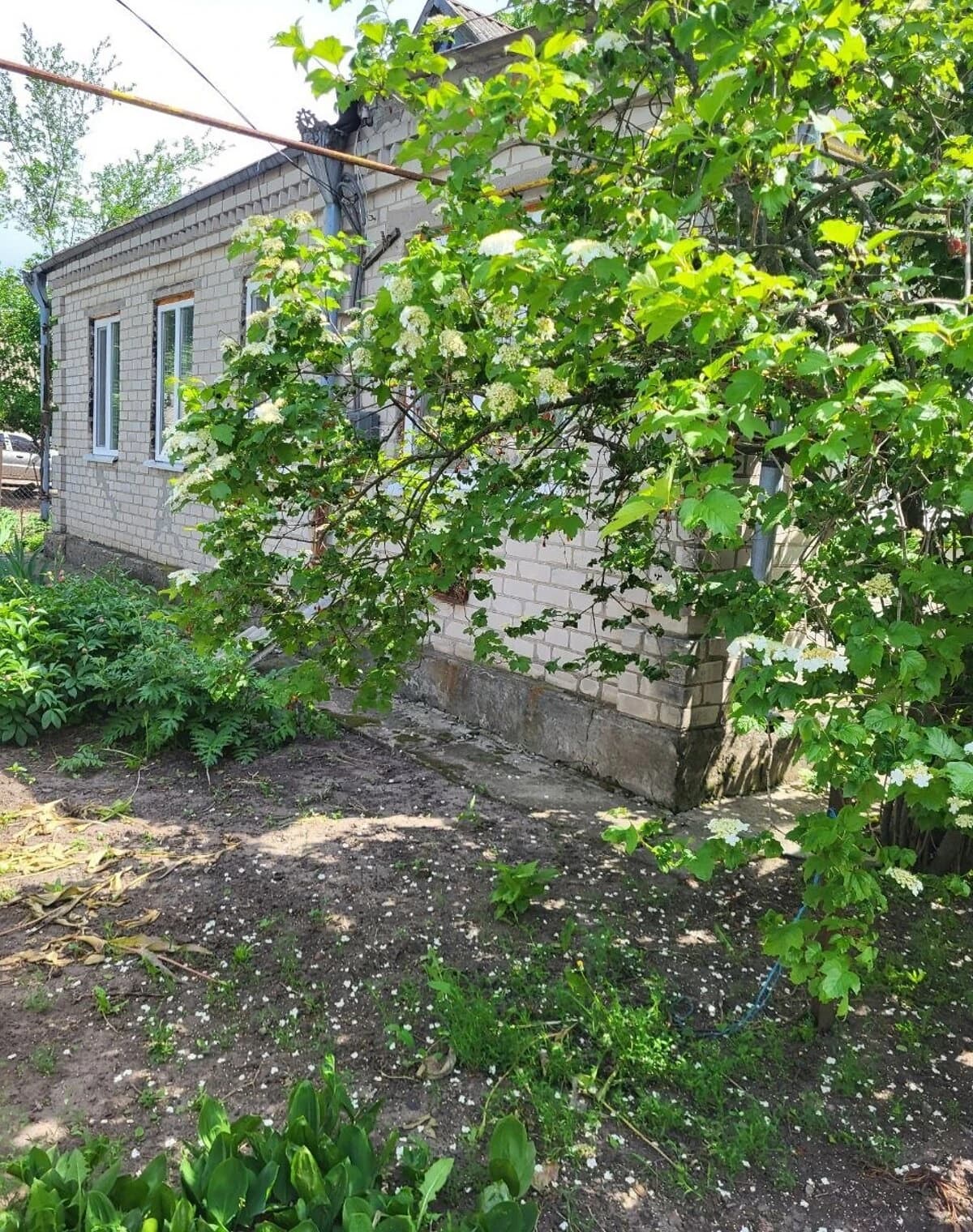 Будинок, Соколове: веранда, гараж, ділянка 1.2 га