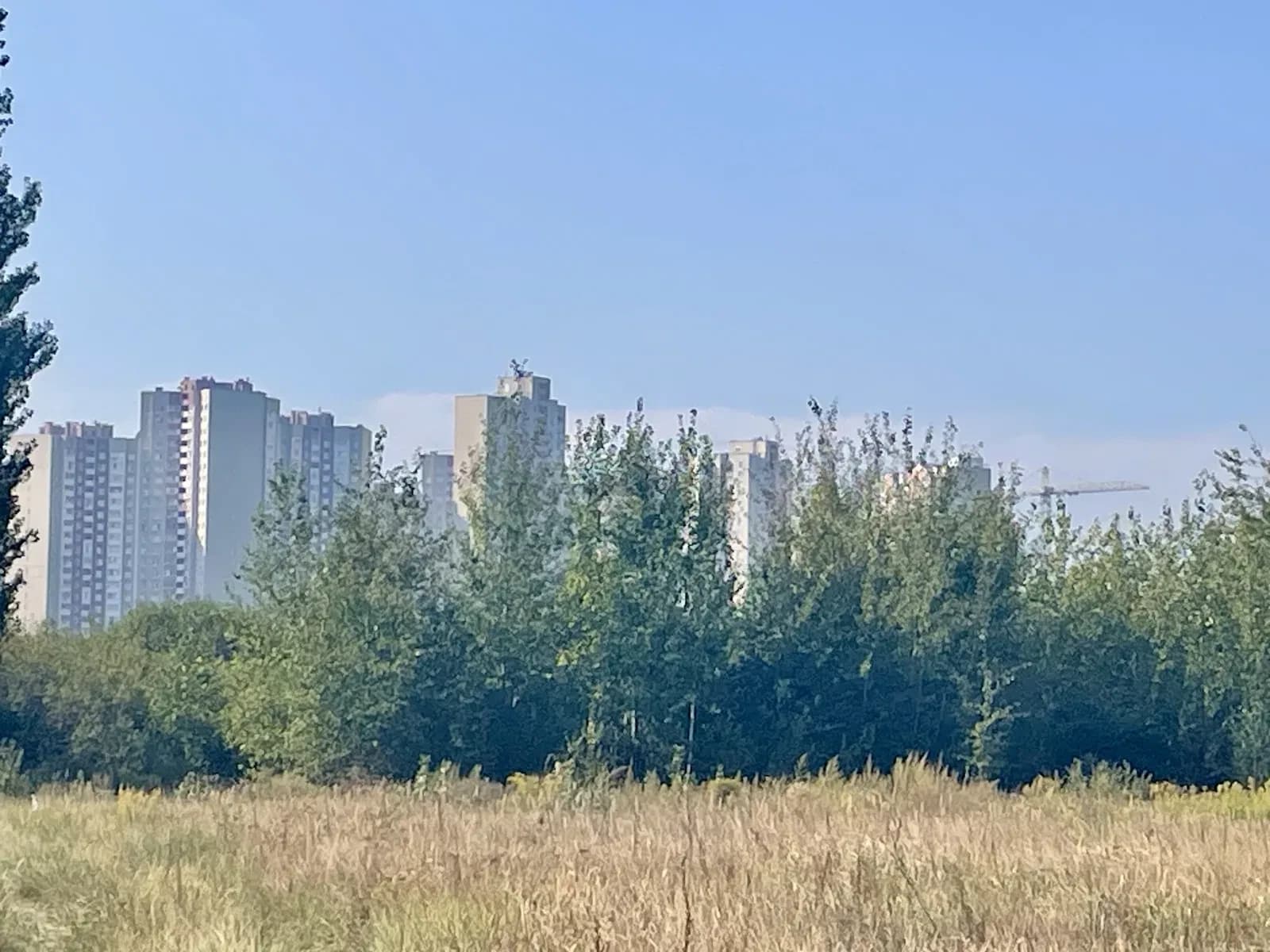 Ділянка 39 соток, Погреби: 300 метрів до межі Києва, закінчується лісом - фото 3
