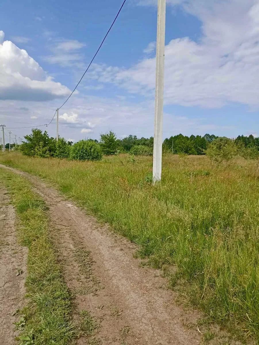 Ділянка 15 соток, Рожни: під забудову, Десна за 1 км, електрика - фото 5