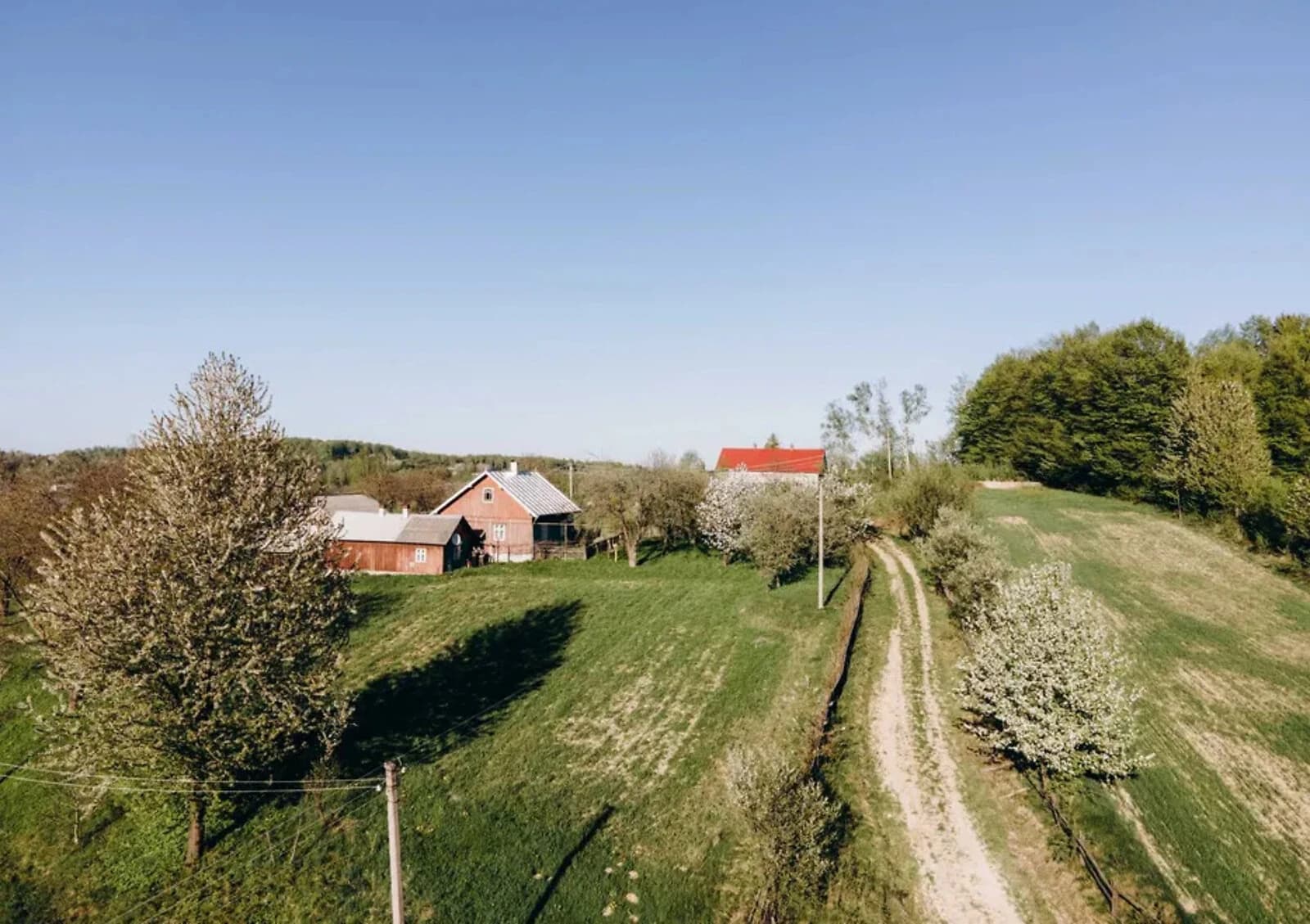 Будинок, Вовчинець (Кельменці): гараж із підвалом, баня та сад - фото 3