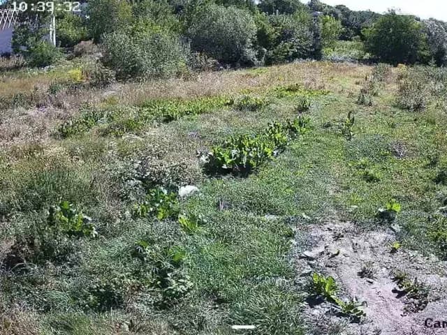 Будинок, Лука-Мелешківська: цегляні стіни, криниця